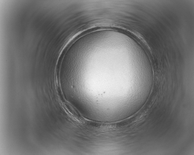 X0000052550887200507152157