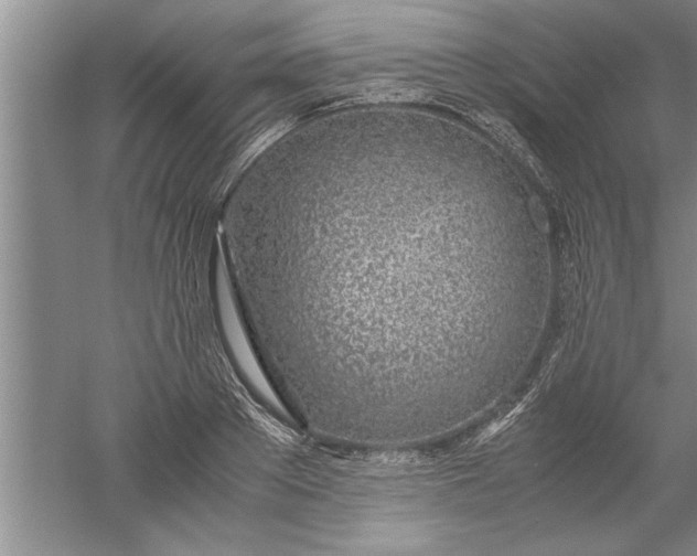 X0000052550889200507152157