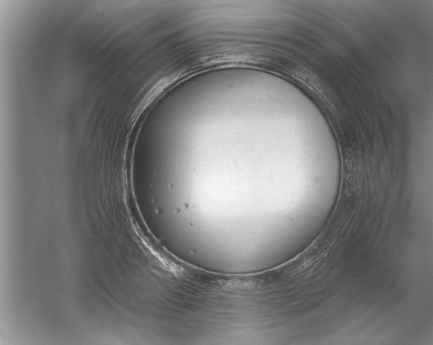 X0000052550890200507152157