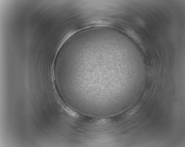 X0000052550891200507152157