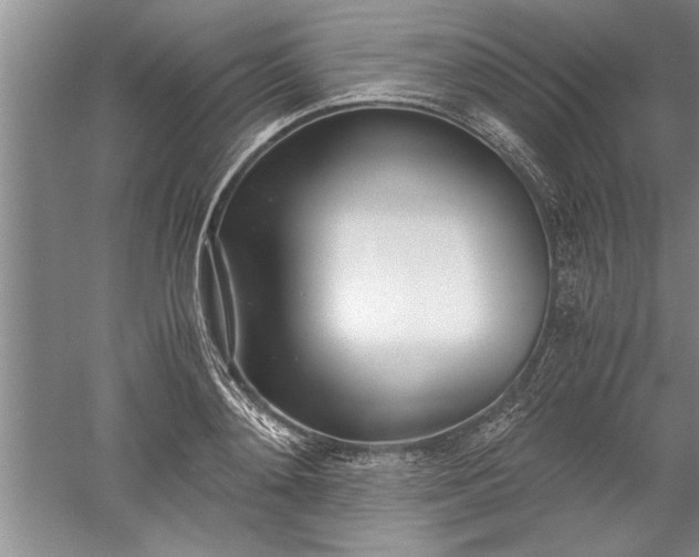 X0000052550892200507152157