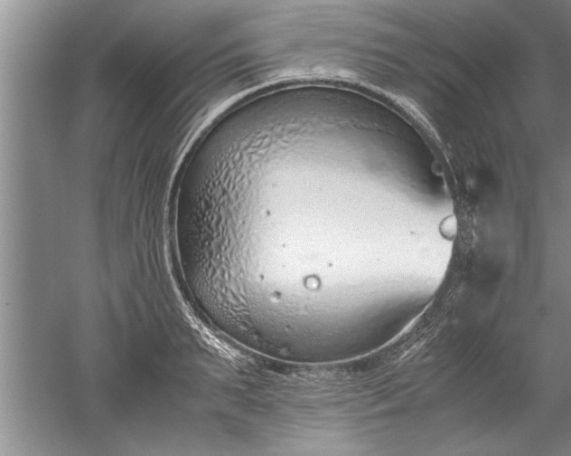 X0000052550895200507152156