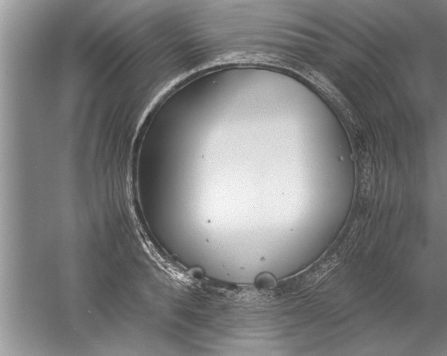 X0000052550896200507152156