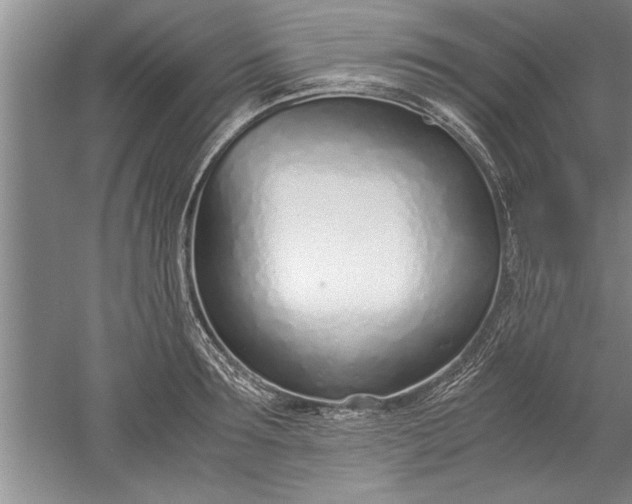 X0000052550899200507152156