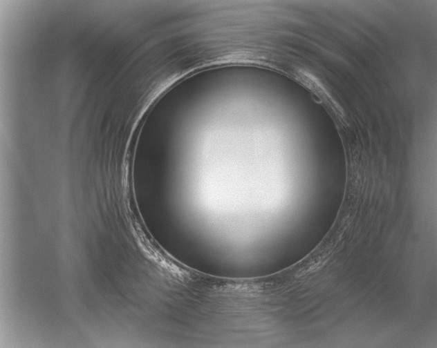 X0000052550900200507152156