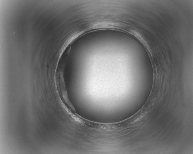 X0000052550901200507152156