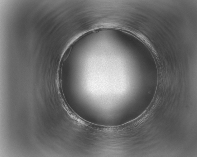 X0000052550904200507152156