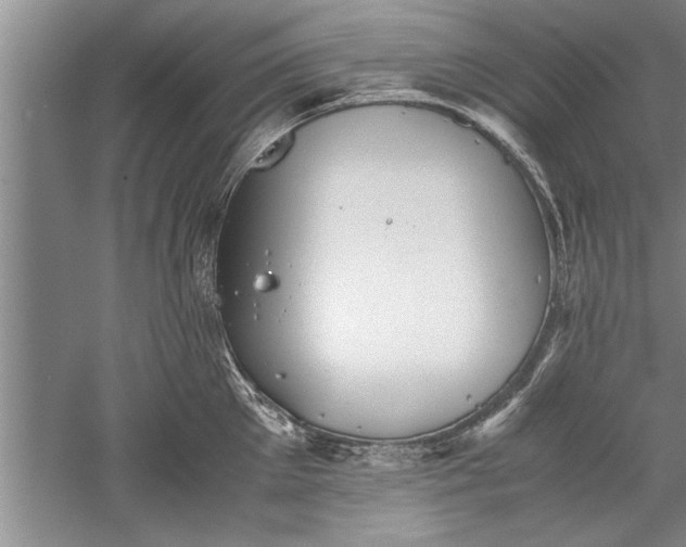 X0000052550905200507152156