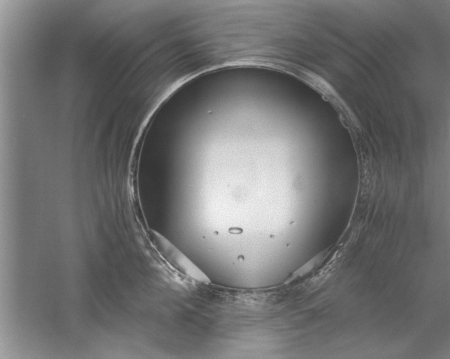 X0000052550908200507152156