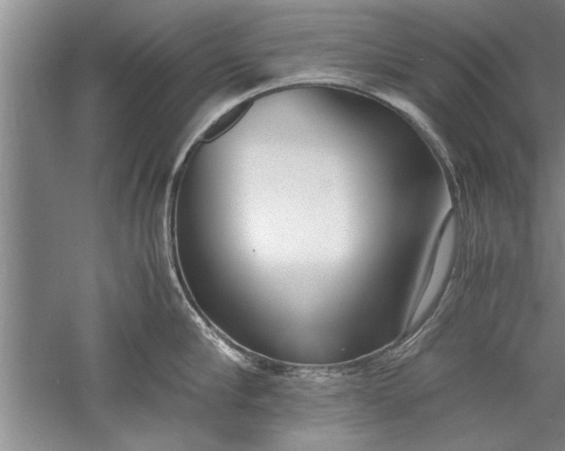 X0000052550910200507152156