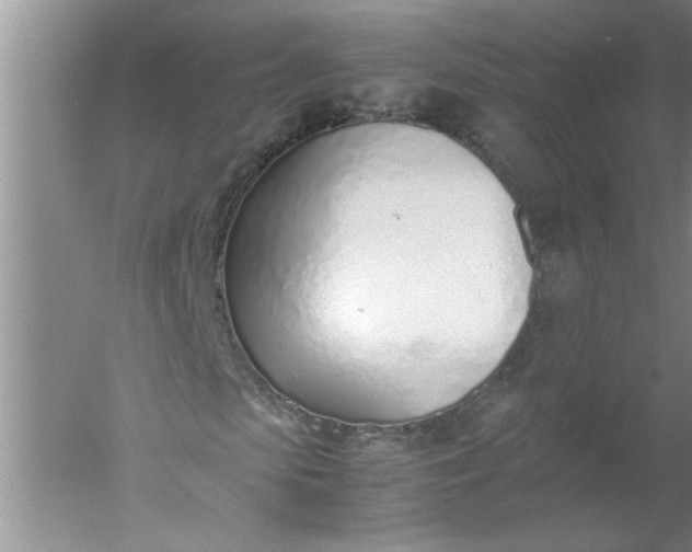 X0000052550913200507152155