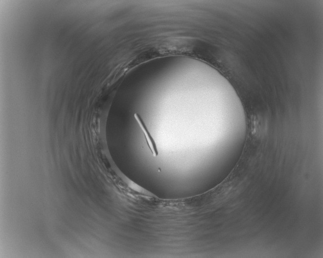 X0000052550915200507152155