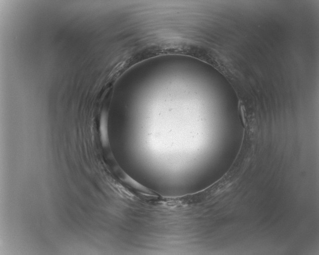 X0000052550916200507152155