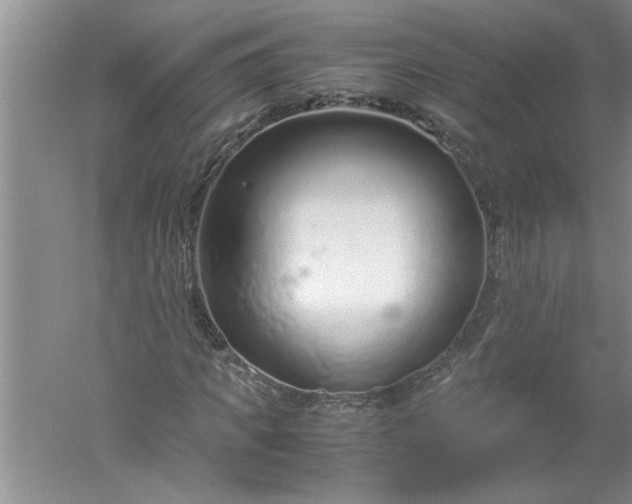 X0000052550917200507152155