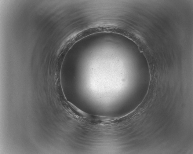 X0000052550920200507152155