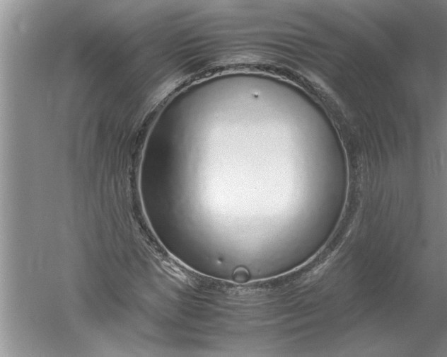 X0000052550921200507152155