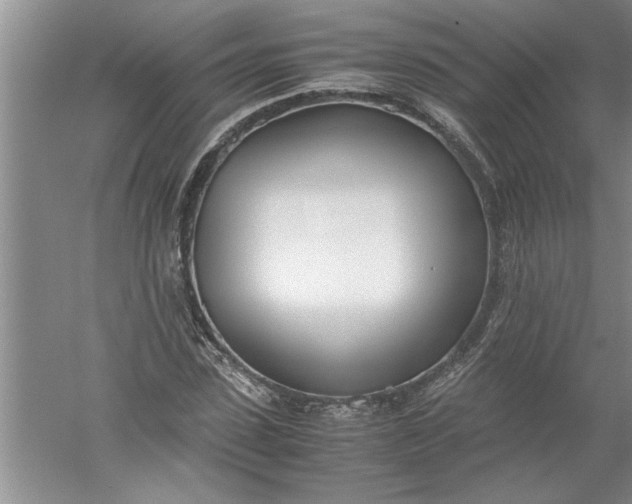 X0000052550923200507152156