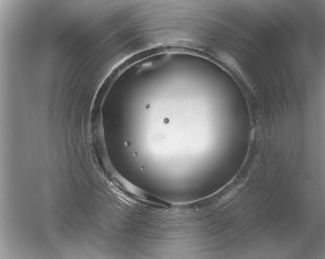 X0000052550924200507152156