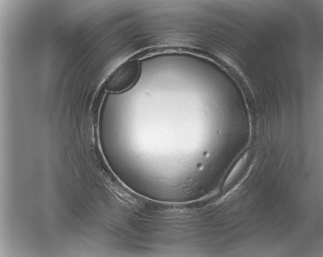 X0000052550925200507152156