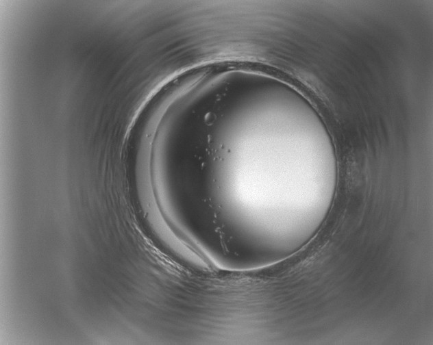 X0000052550926200507152156