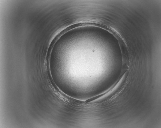 X0000052550928200507152156