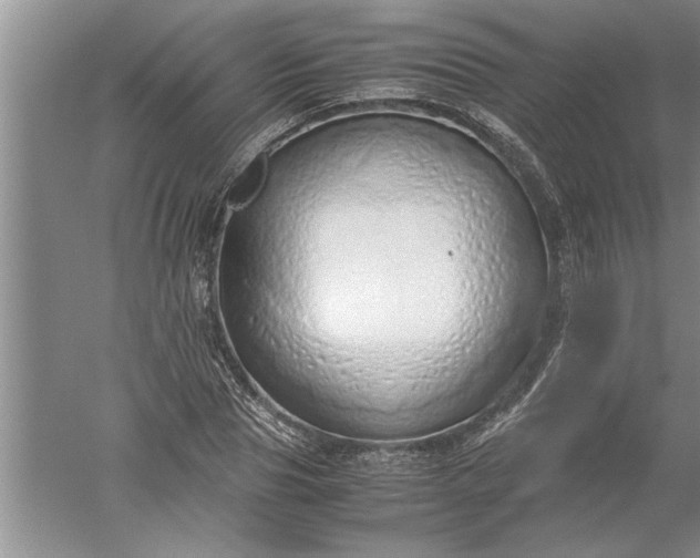 X0000052550929200507152156