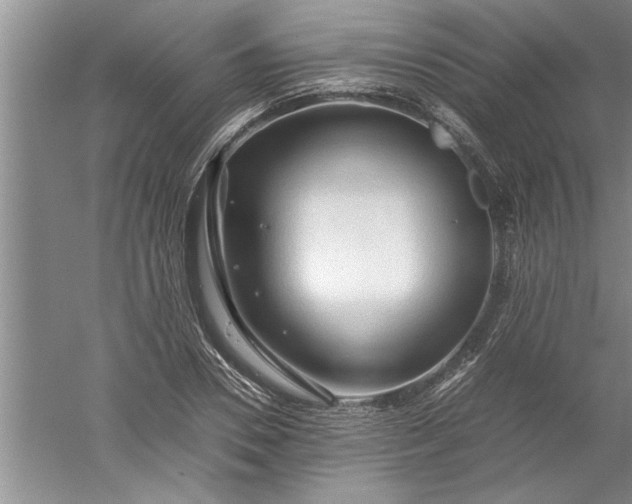 X0000052550930200507152156