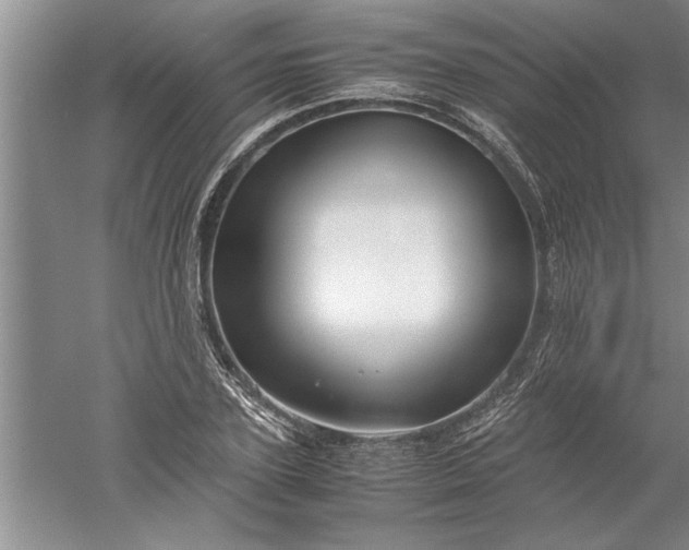 X0000052550931200507152156