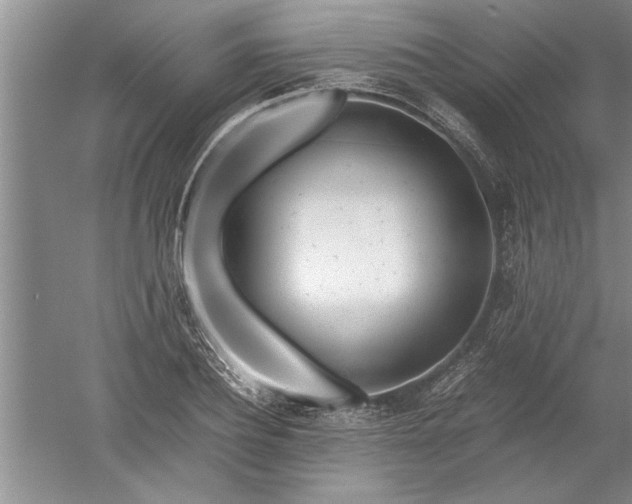 X0000052550932200507152156