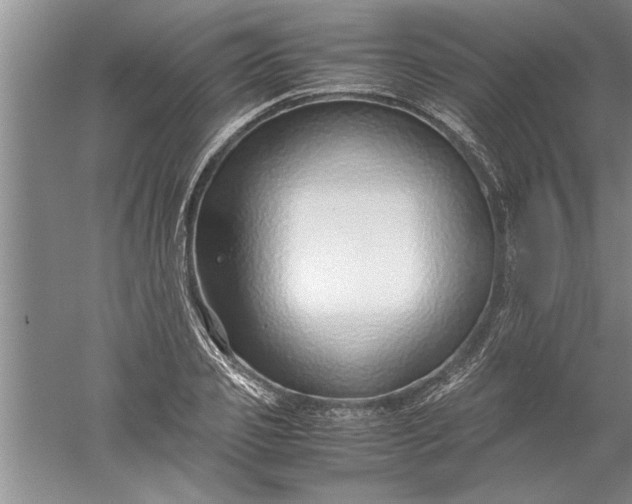 X0000052550933200507152156