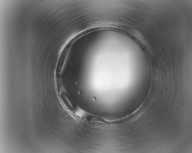 X0000052550936200507152156