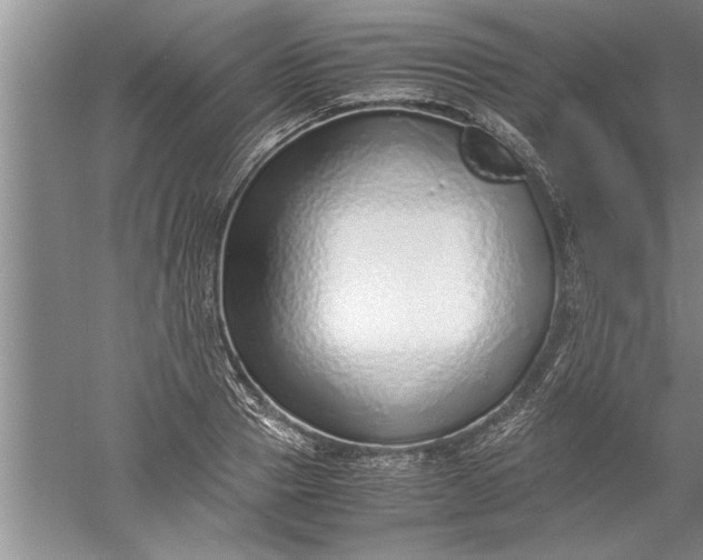 X0000052550937200507152156