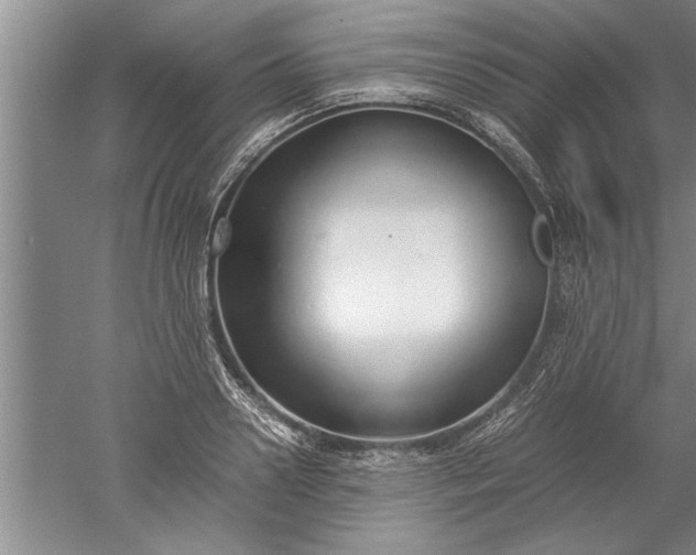 X0000052550938200507152156