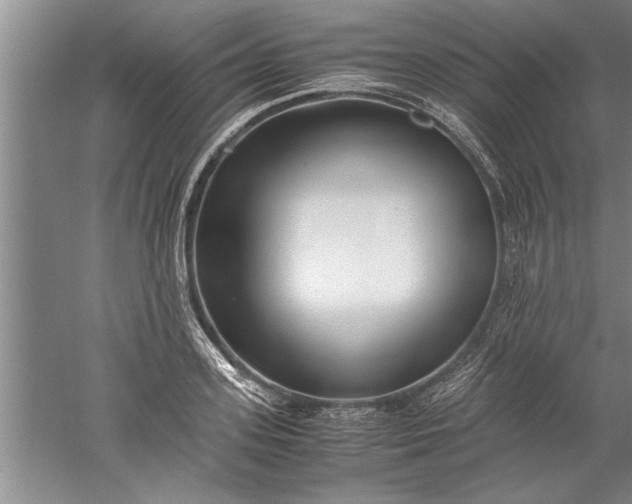 X0000052550939200507152156