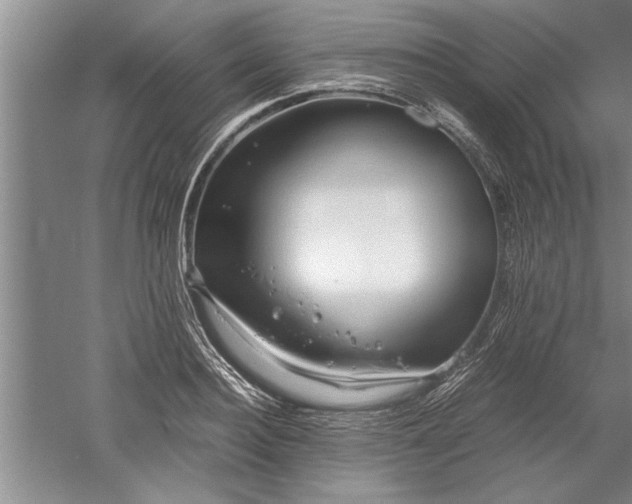 X0000052550940200507152156