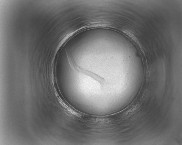 X0000052550941200507152156