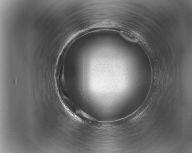 X0000052550942200507152156