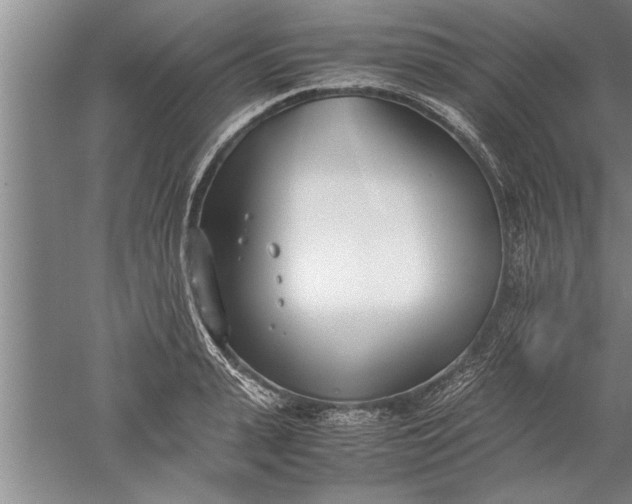 X0000052550943200507152156