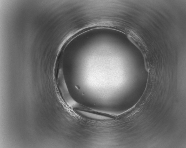 X0000052550944200507152156