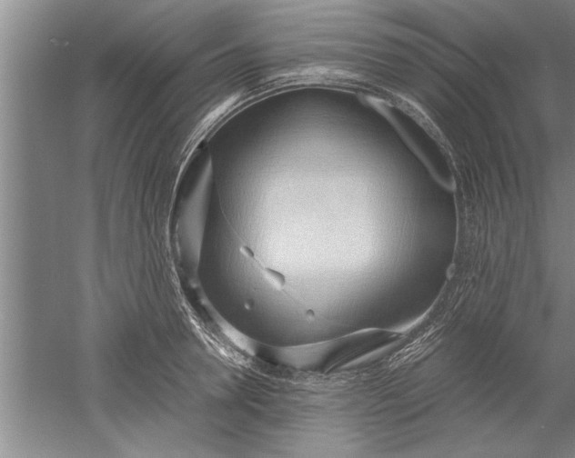 X0000052550946200507152156