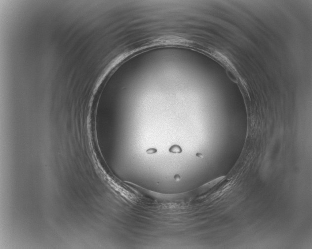 X0000052550947200507152156