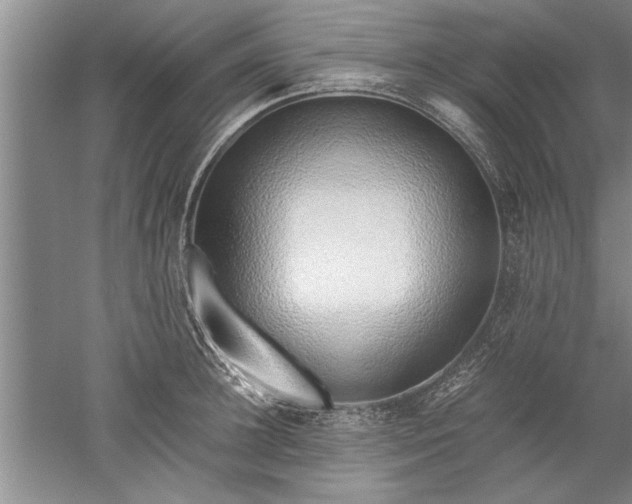 X0000052550948200507152156