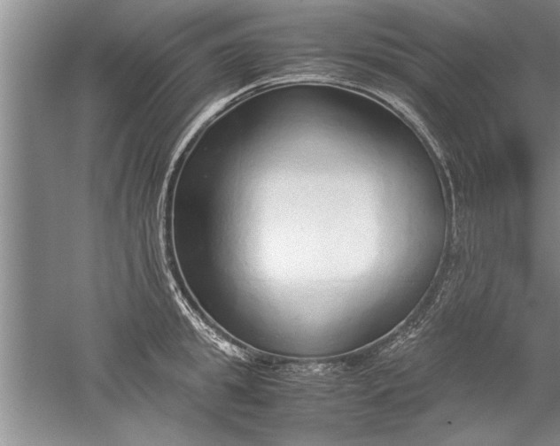 X0000052550949200507152156