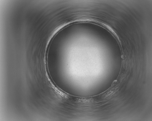 X0000052550951200507152156