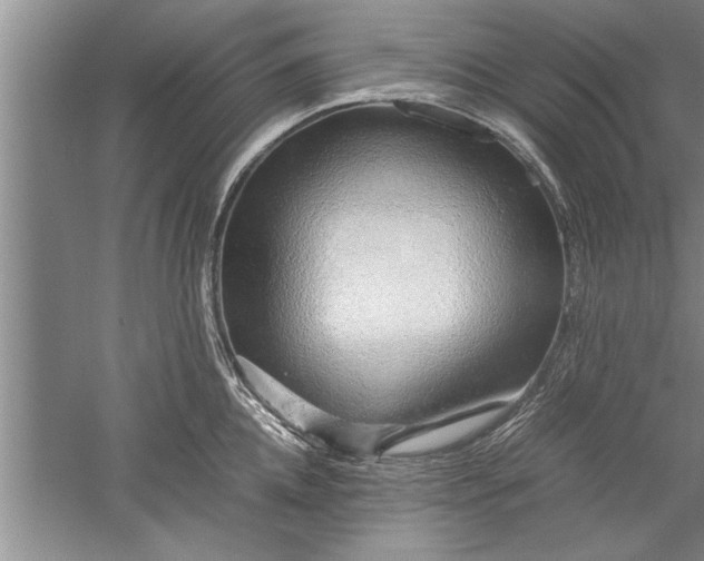 X0000052550952200507152156