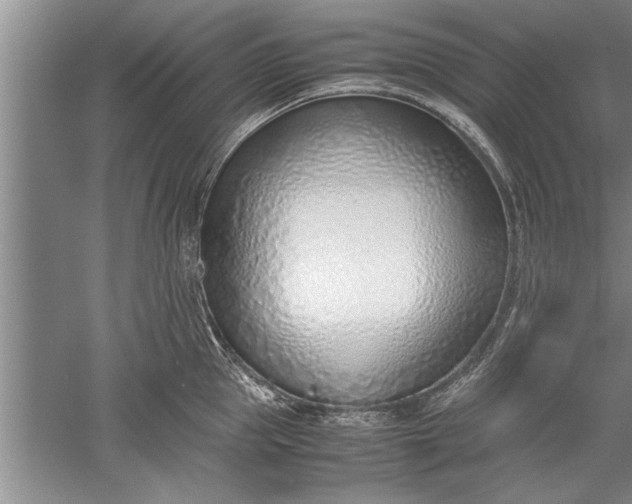 X0000052550953200507152156