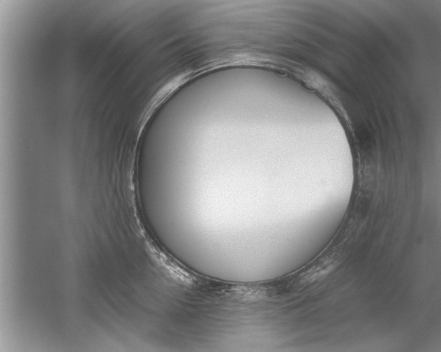 X0000052550954200507152156