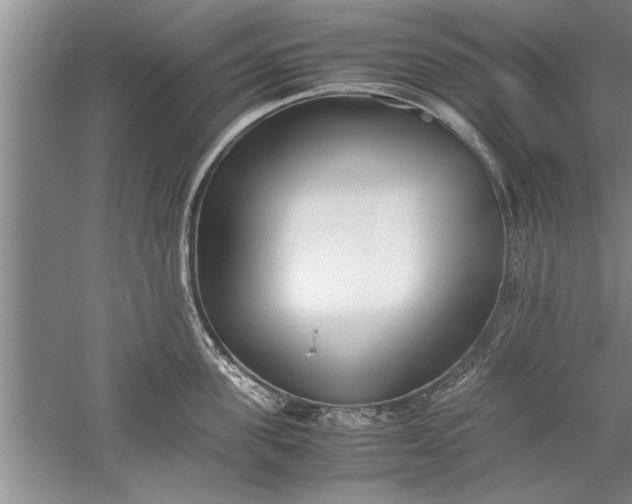 X0000052550955200507152156