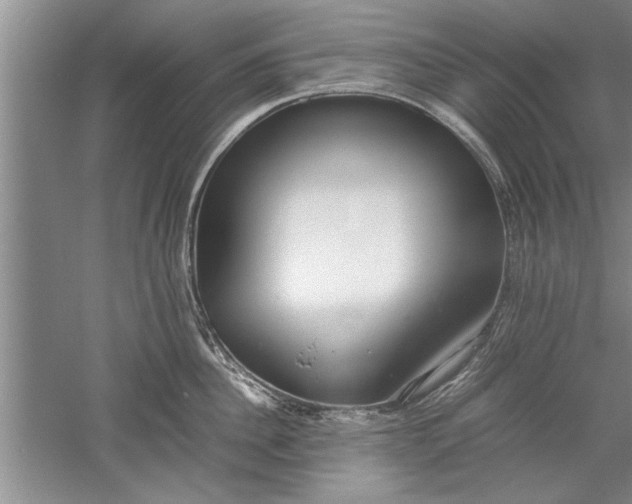 X0000052550956200507152156