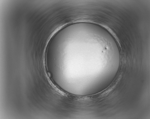 X0000052550957200507152156